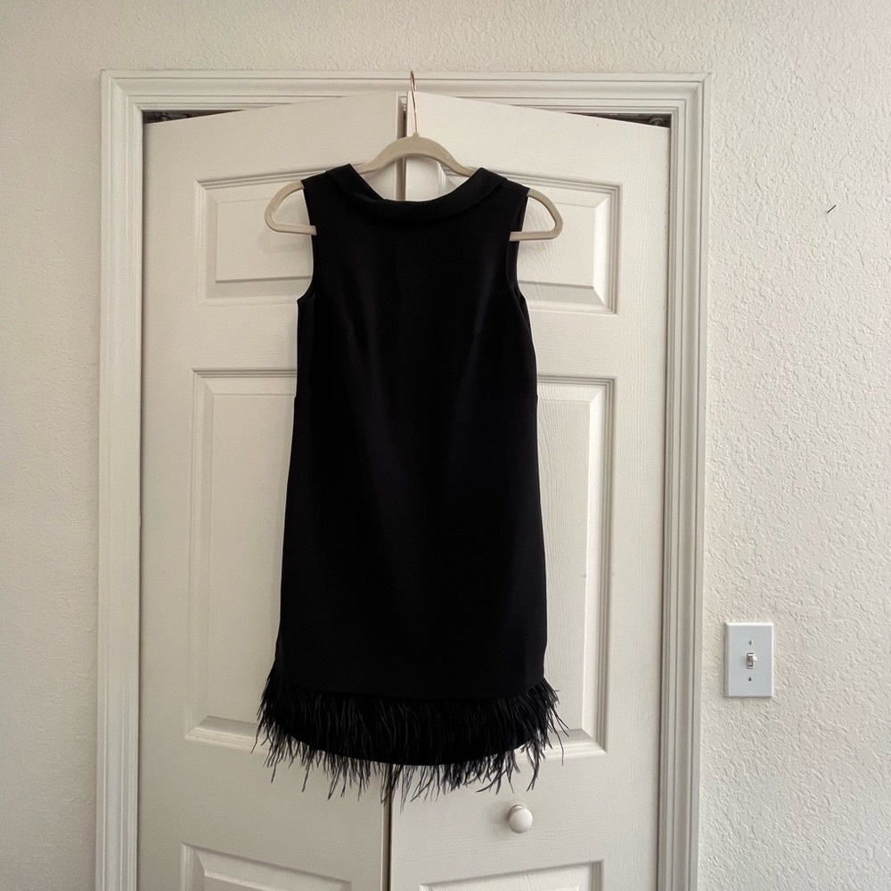 LBD from Ann Taylor NWT. V shape back feather bottom trim